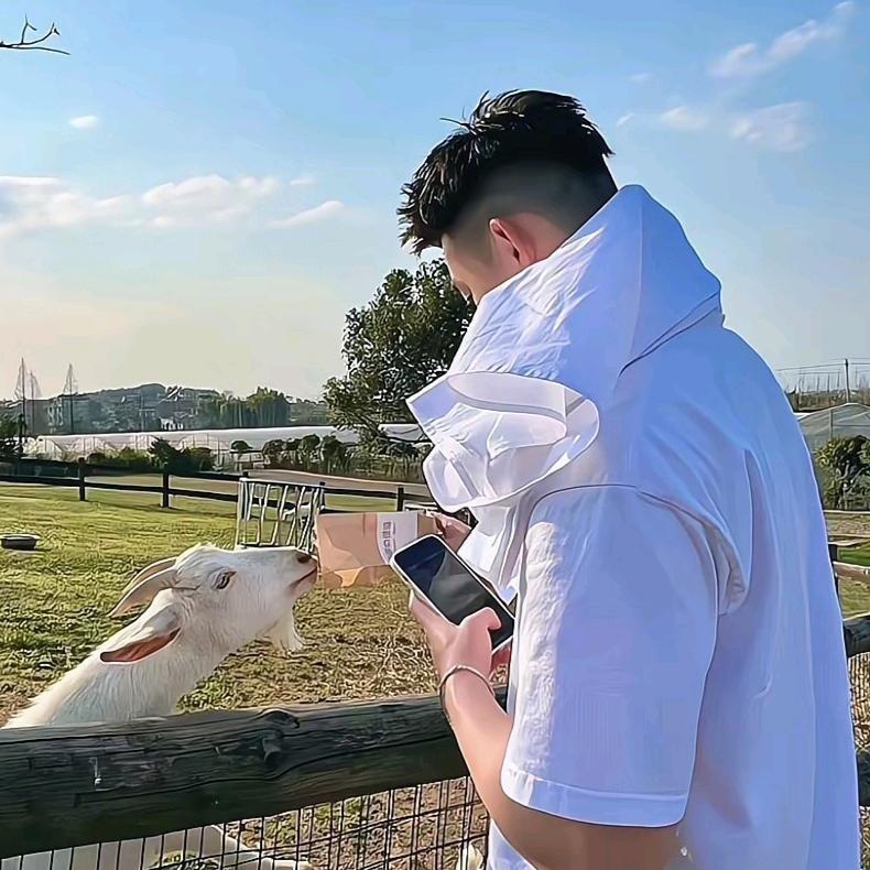 ☞  Corsini✔~