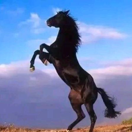 用户一直在努力