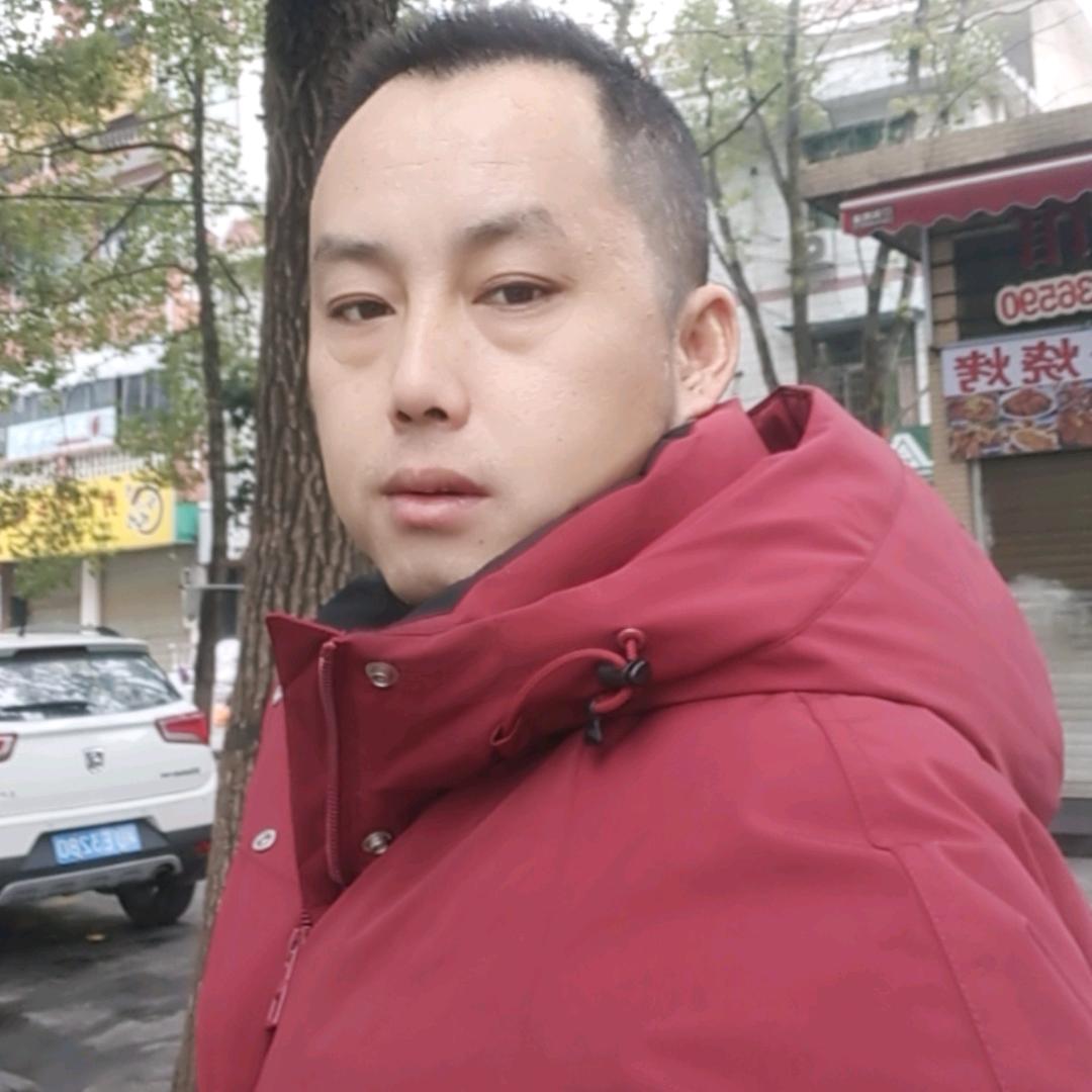 岁月静好，招财猪