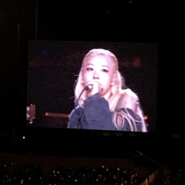 我是黄圆（见过bp版