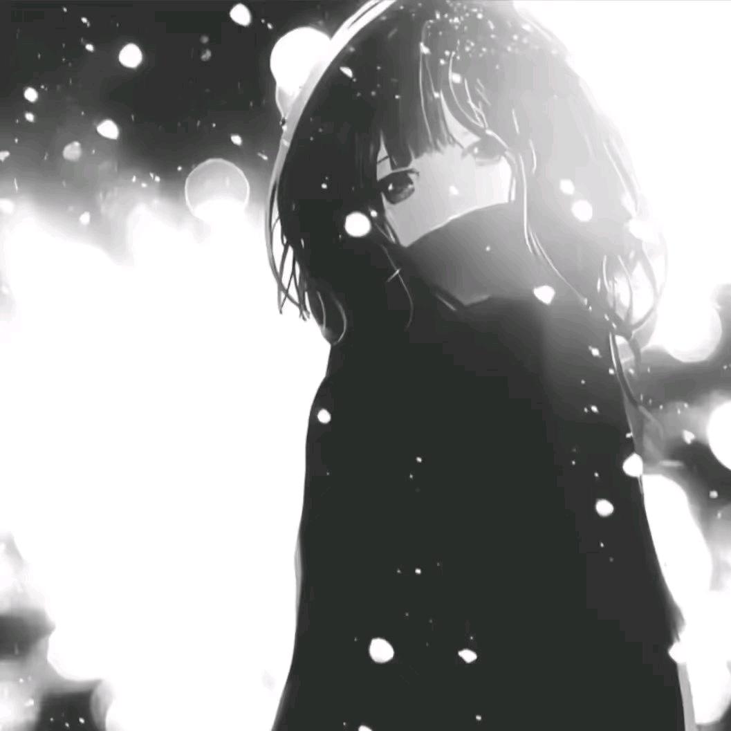 收藏家.