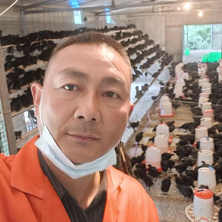 略阳鸡汤哥