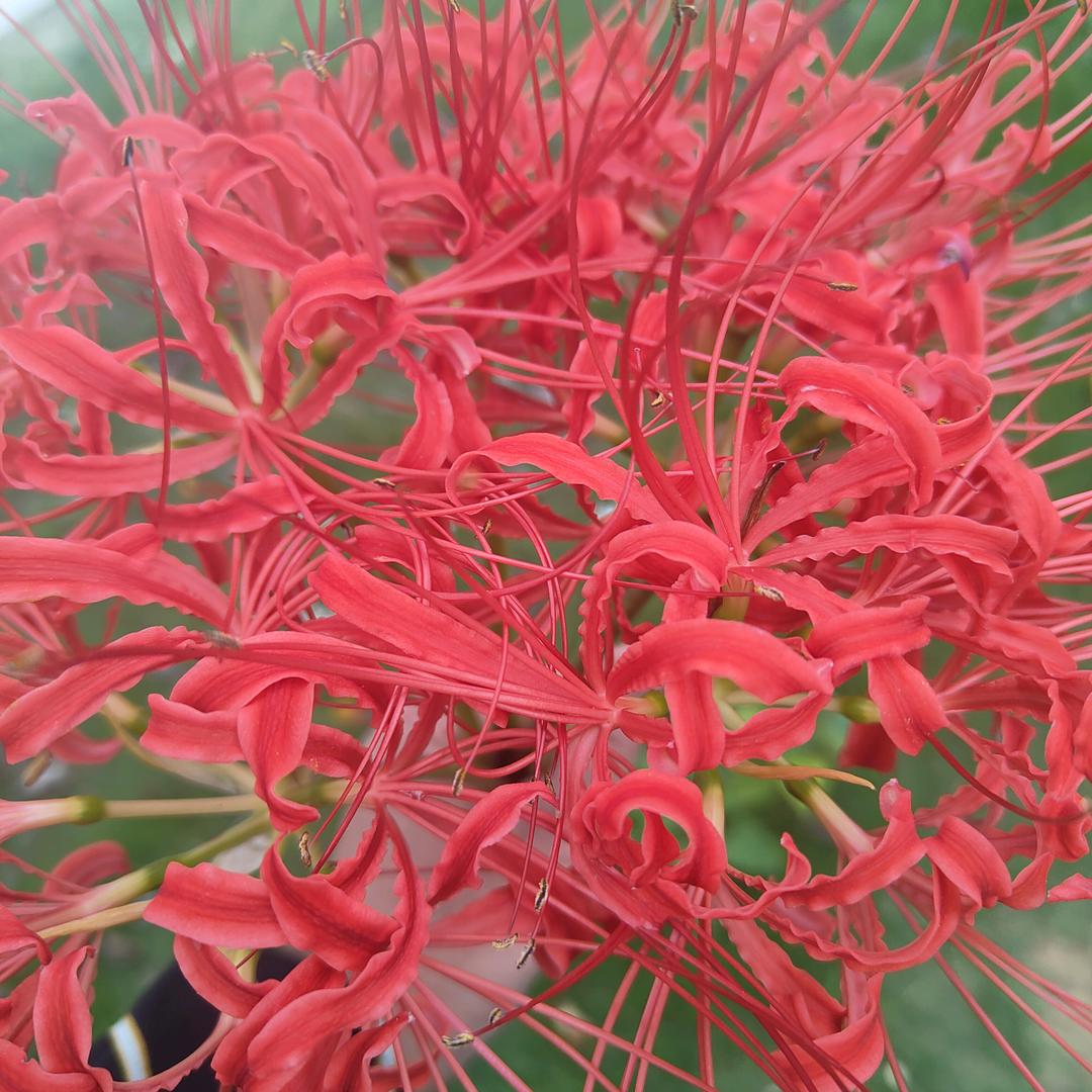 未来，多久才来