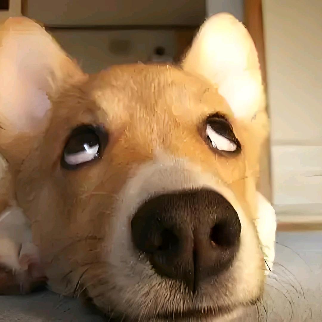 月亮
