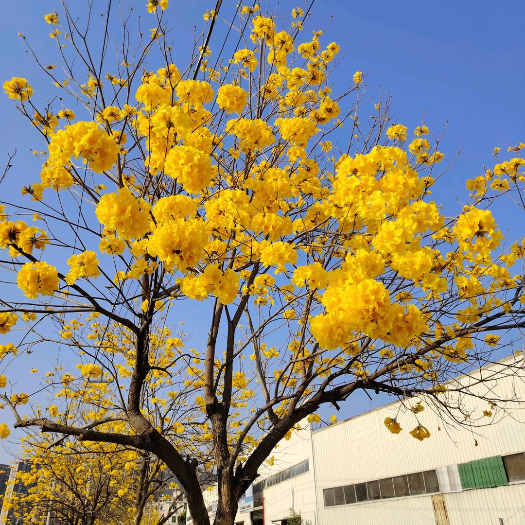 安溪县魁斗悠味轩食品商行（个体工商户）