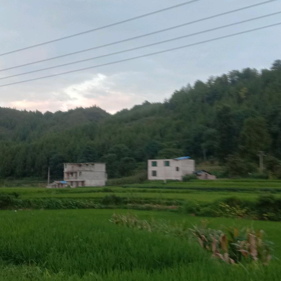 我♥️🔺微🔻凉