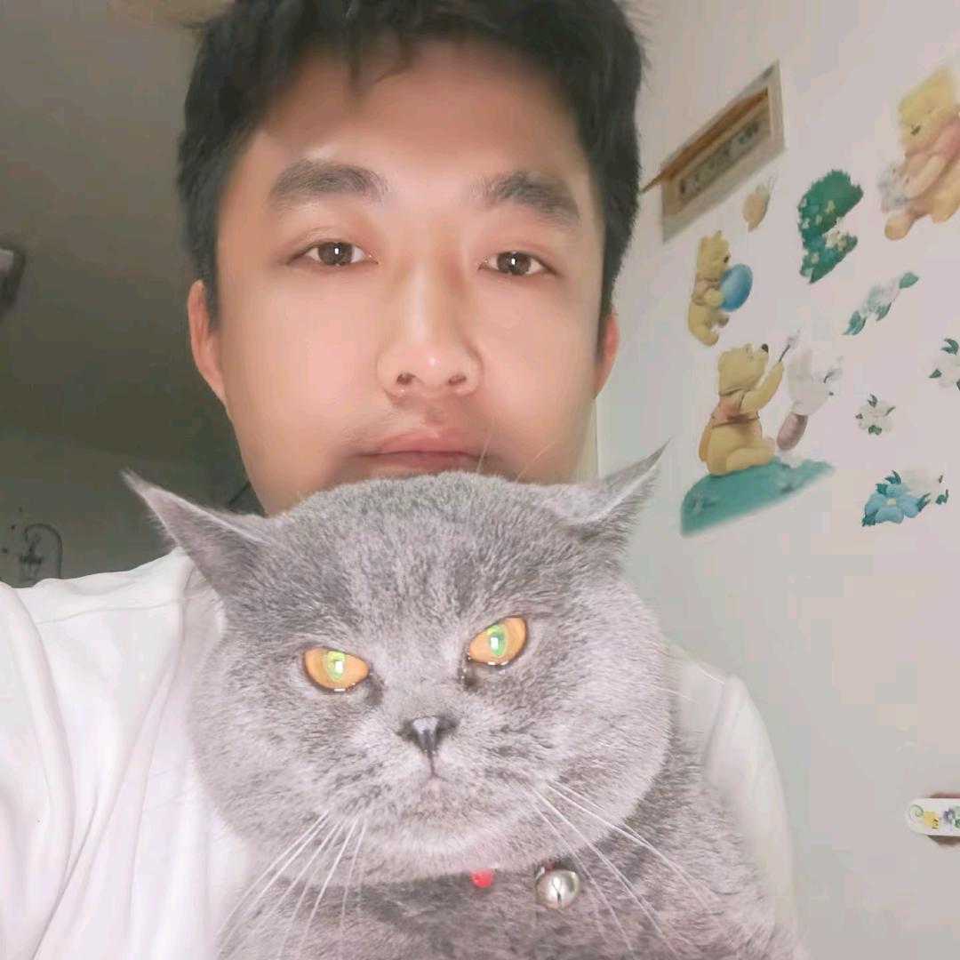 敦敦团团是只喵！