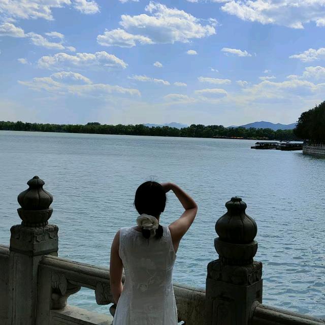 大豫宝