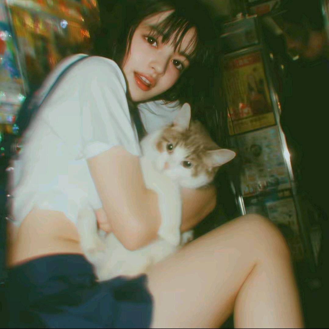 杀死一只知更鸟🕊️