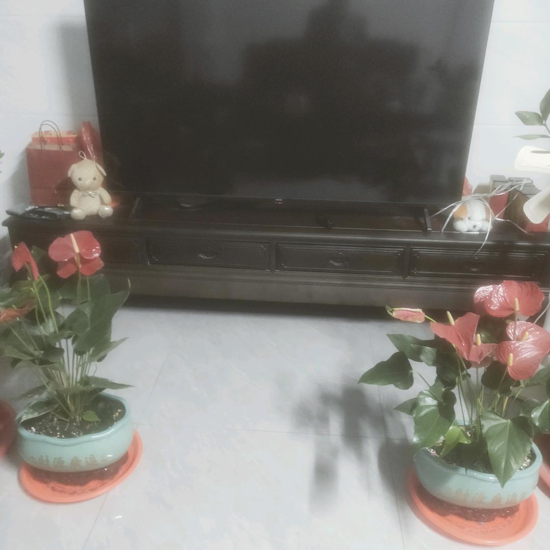 陈弟