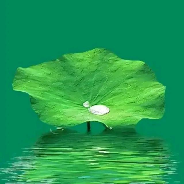 我命在我不由天
