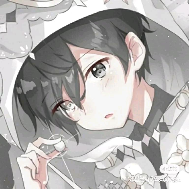 呆(｡˘•㉨•˘｡)熊