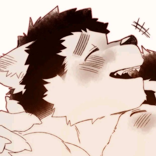 🌚琪✨