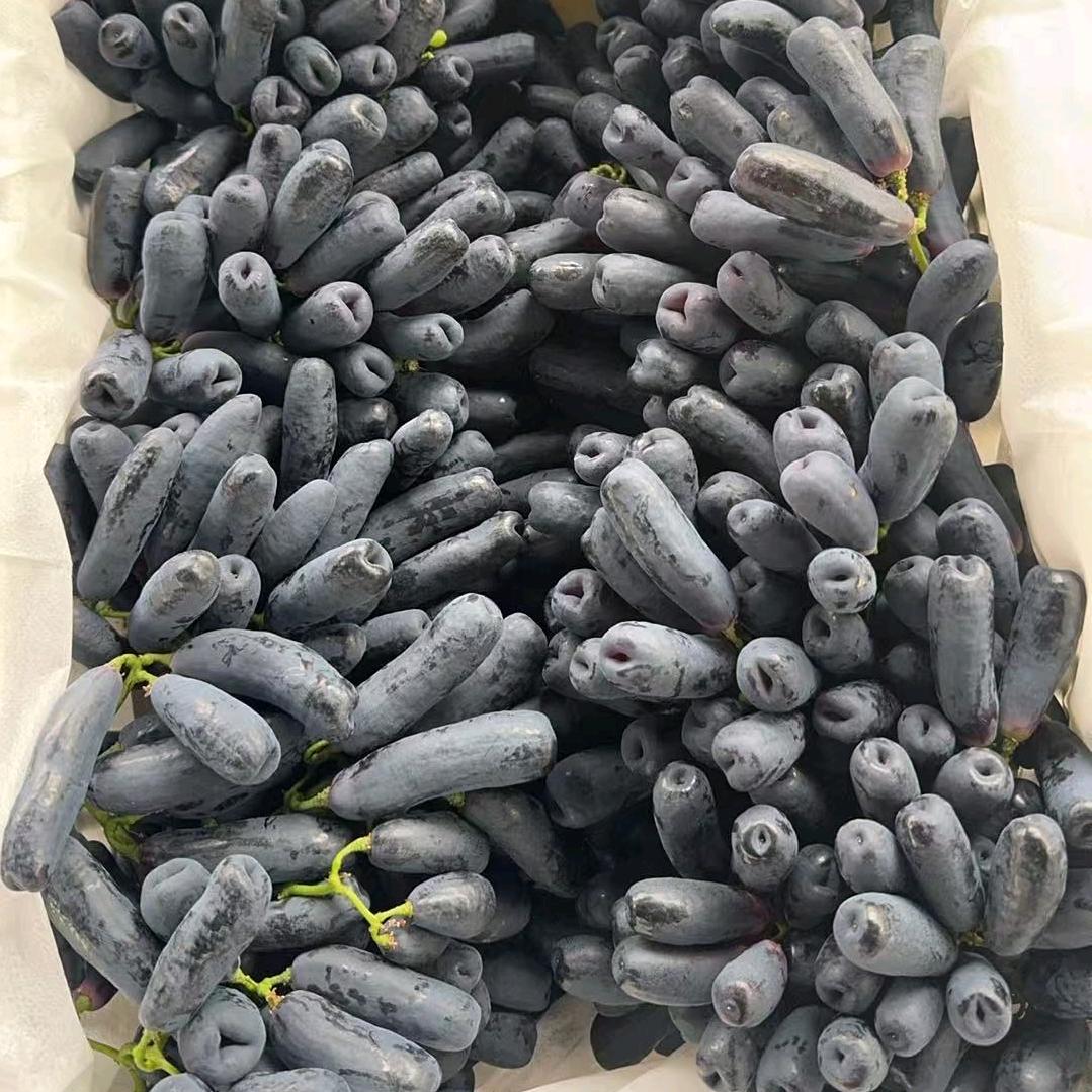 欢迎代销各大商超代购，阿鑫