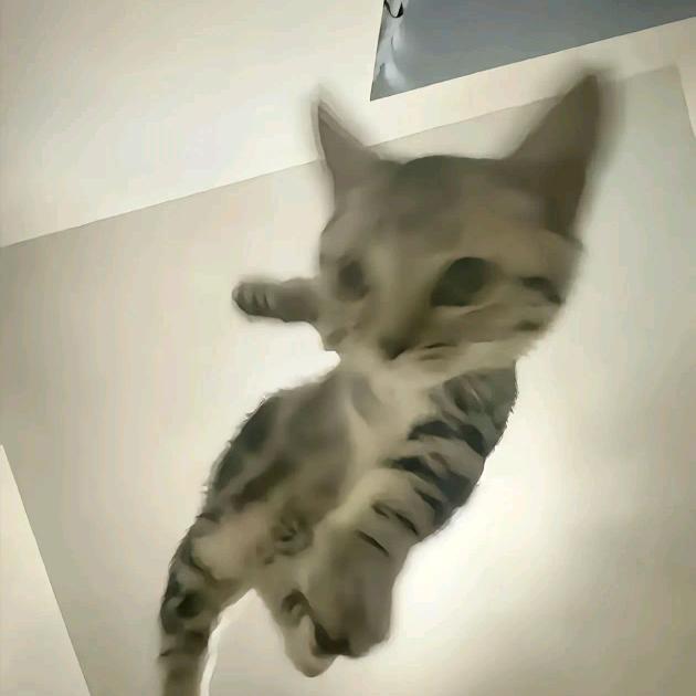 咪的天，谁干的！（见过蒲熠星版）