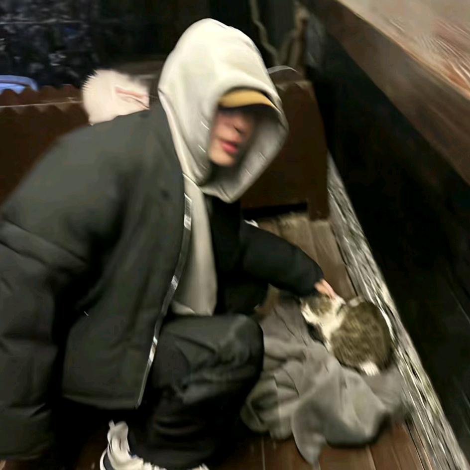 莫o