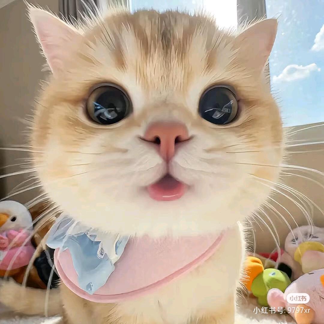 吸口猫气