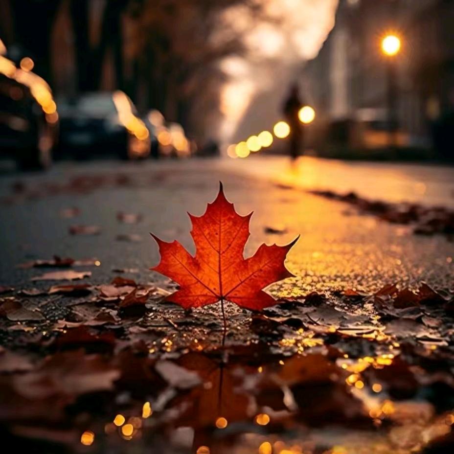 豫见胡🍁