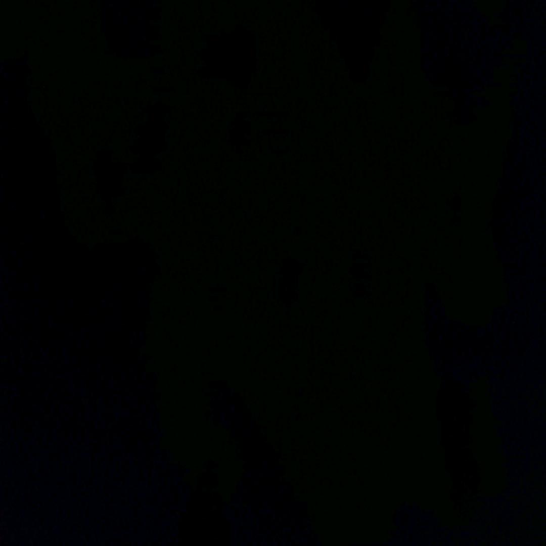𝓓