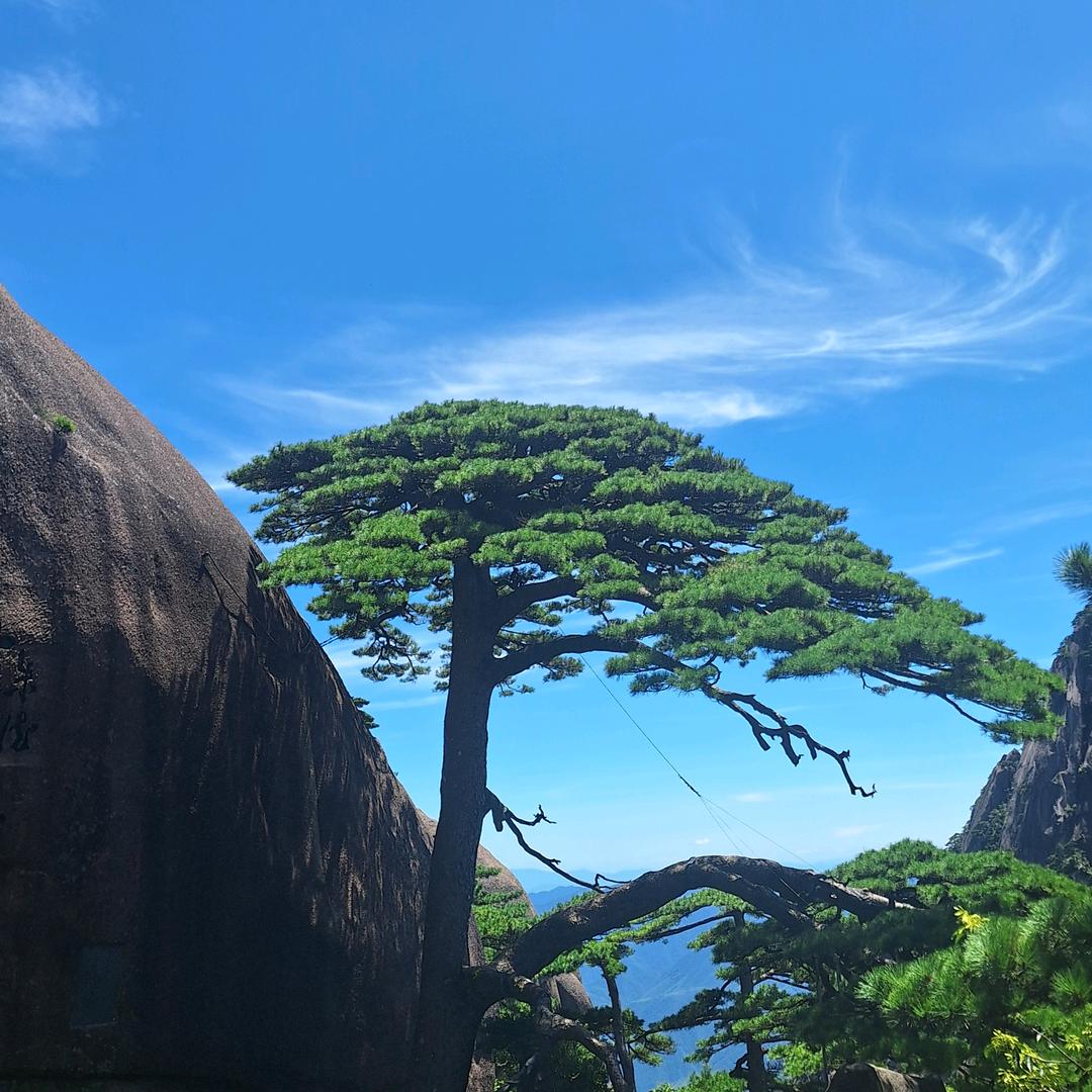 青史沉链【封】