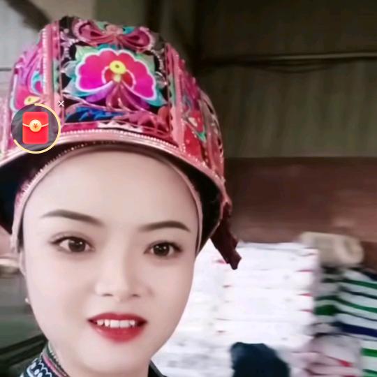 飞翔的企鹅