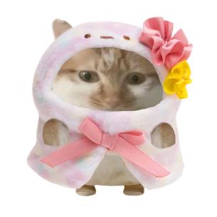 带你吃火锅