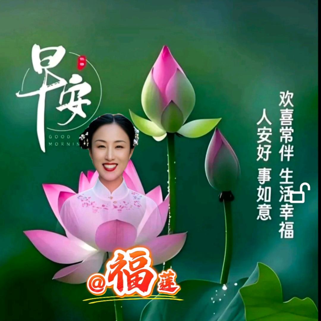福莲