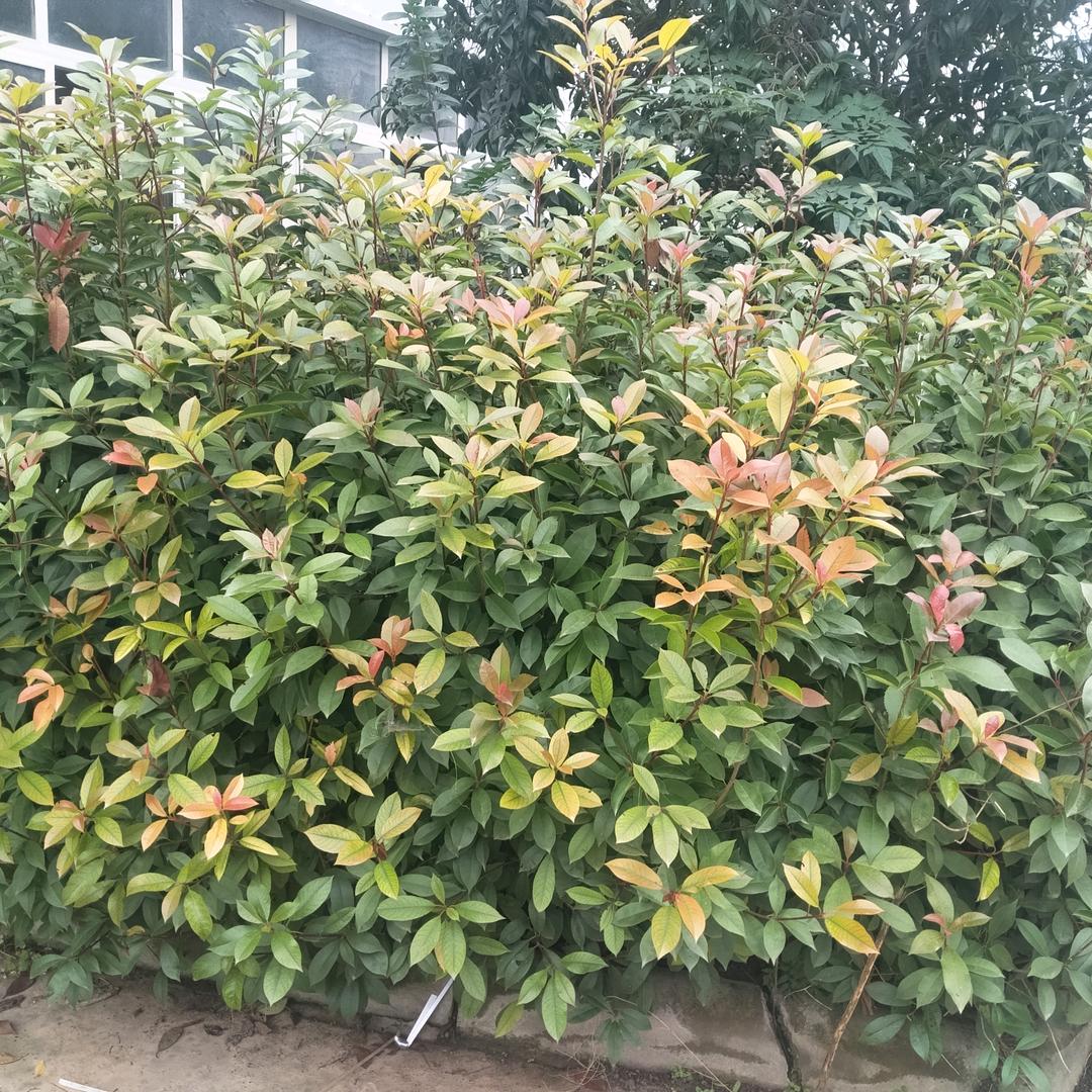 用户永远开心