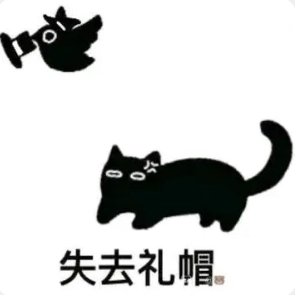 筱罖