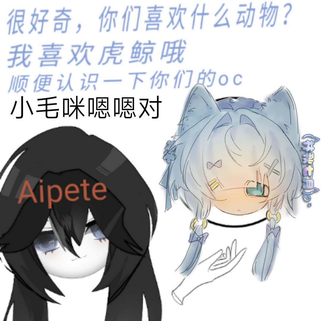 冬天的太阳