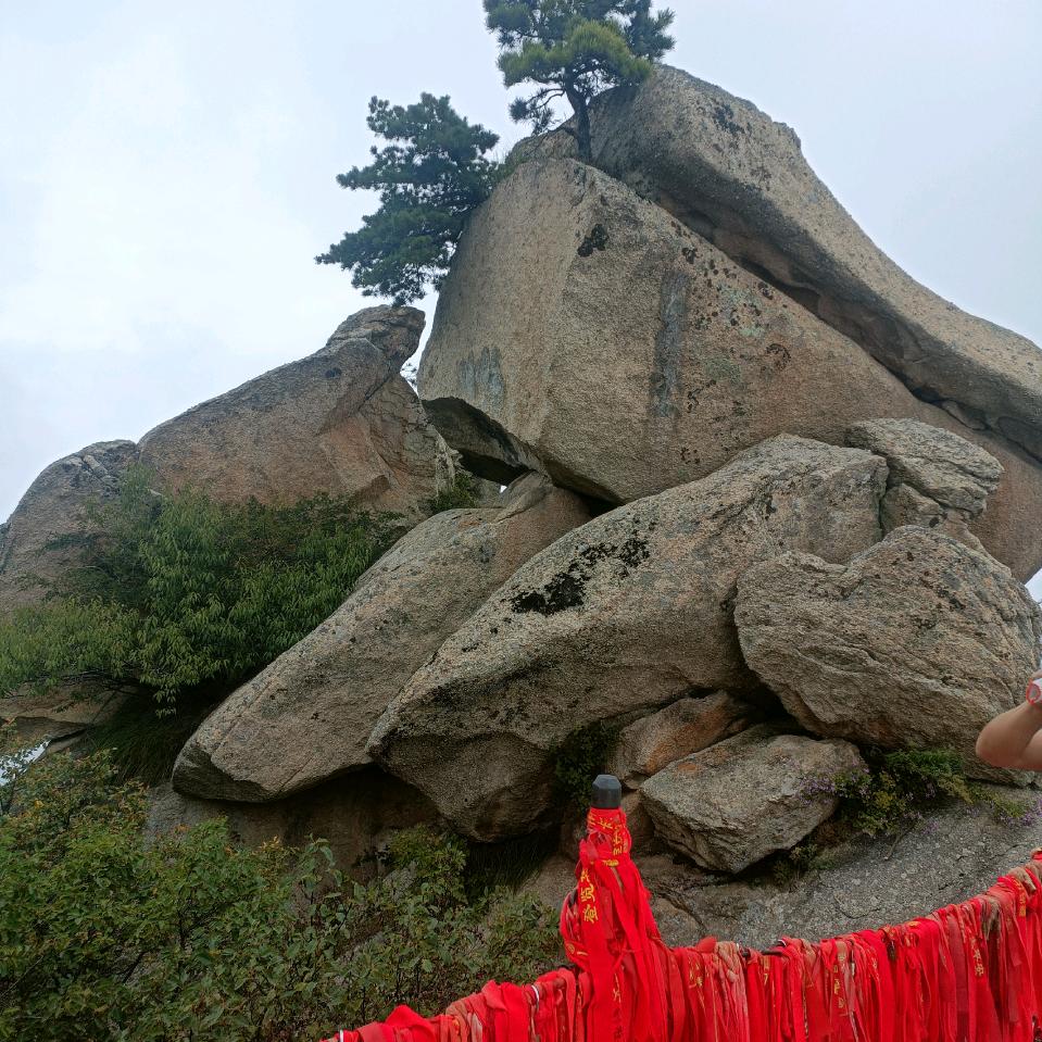 情深似海