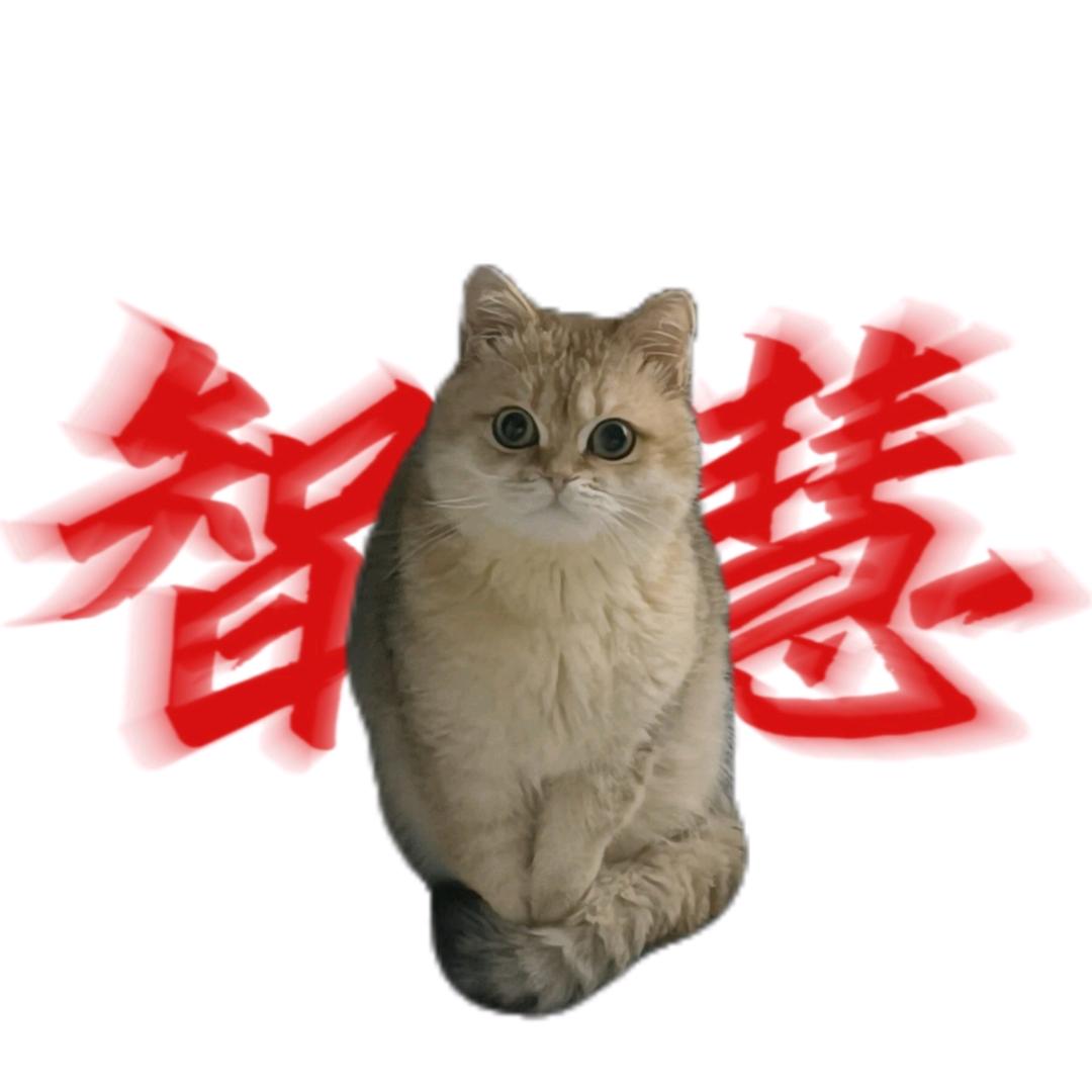 酥是好吃的鱼吧
