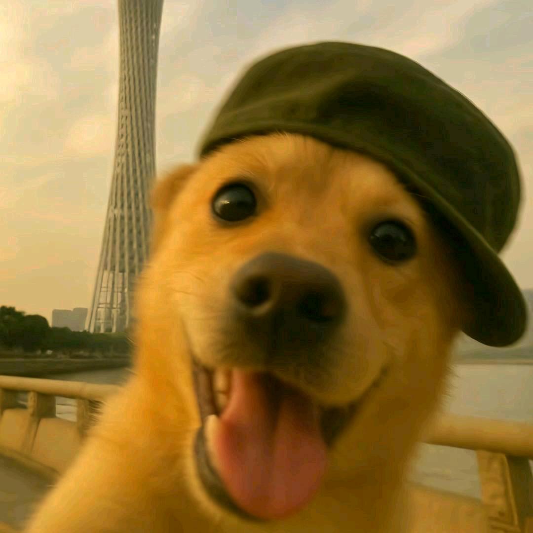 猛踹瘸子那条好腿.