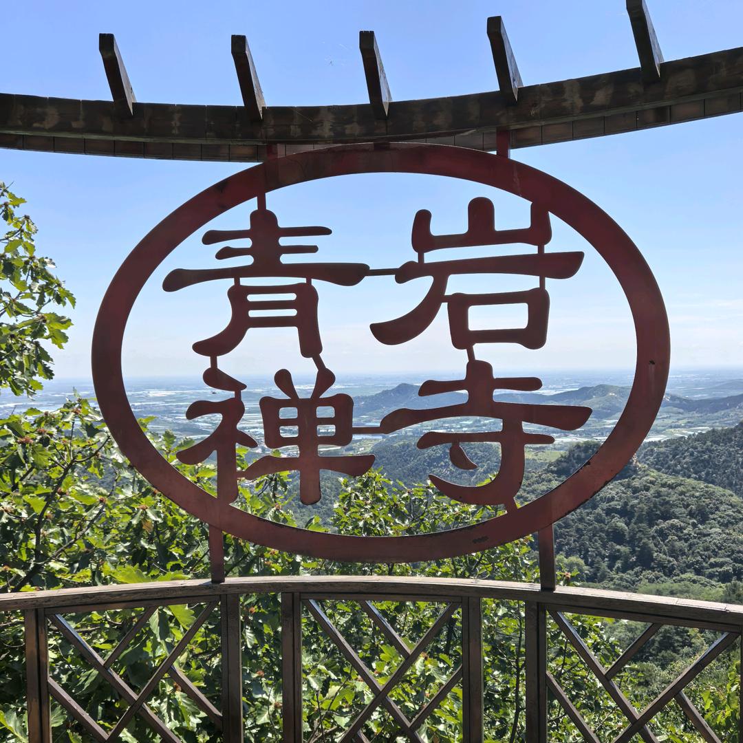 丽姐