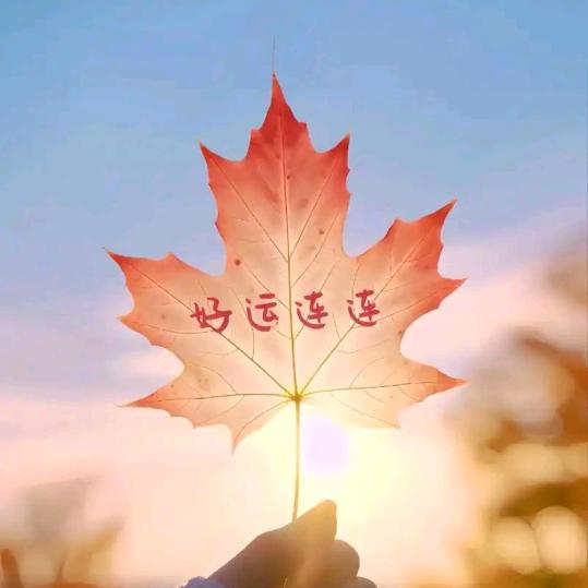 一路向阳
