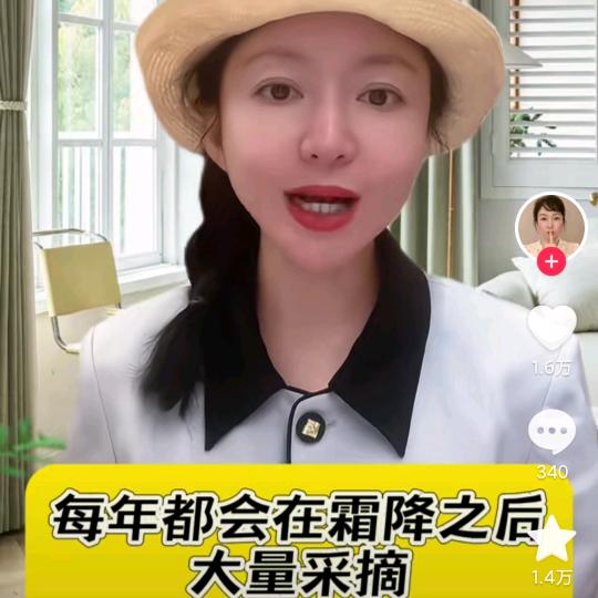 y好运连连