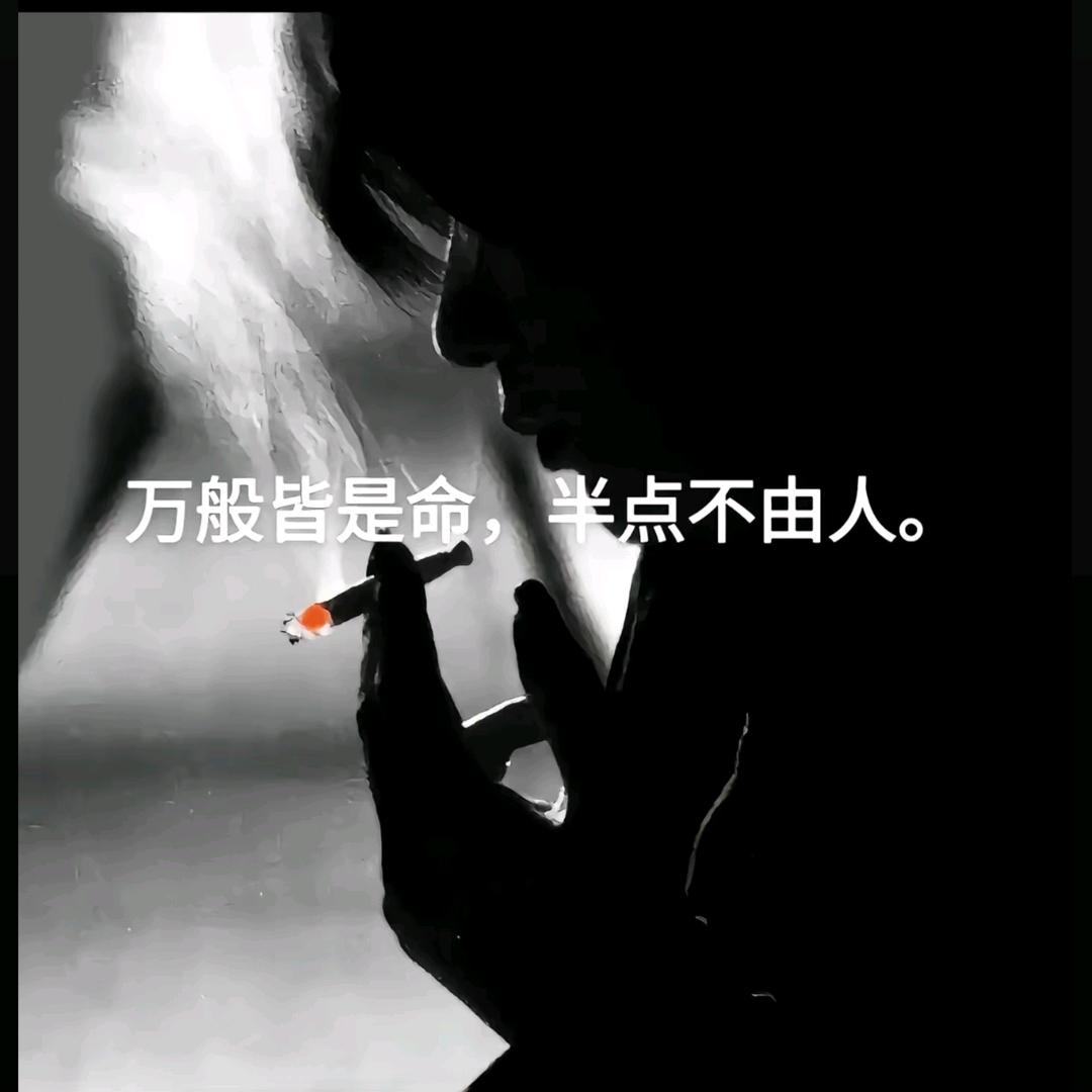 ꧔ꦿ᭄ 自ঞᩚ渡꧔ꦿ᭄