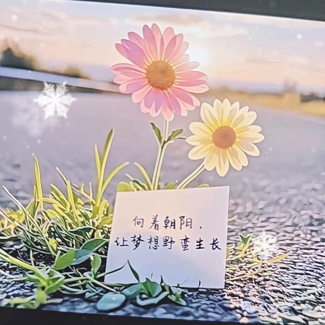 陈心选物