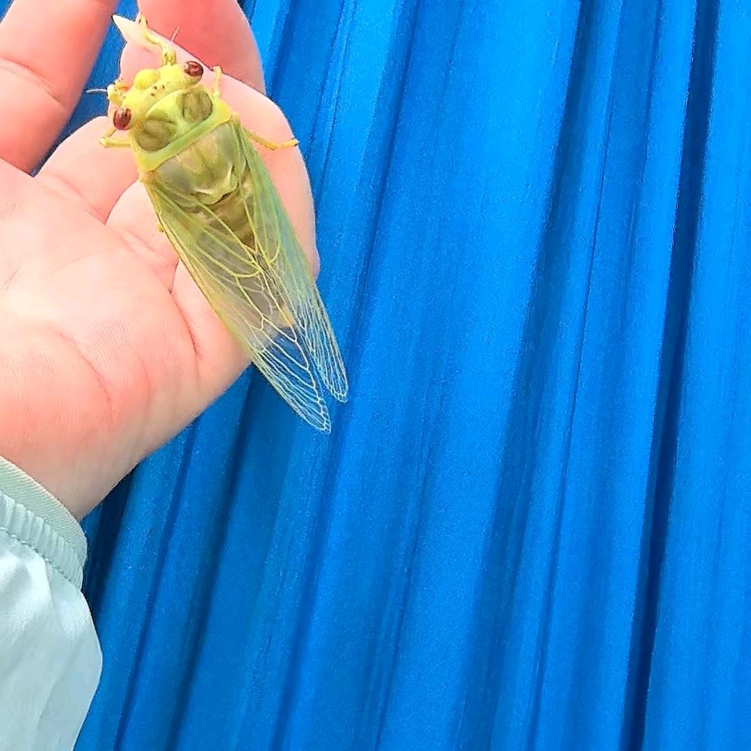 李梅，滨河小院欢迎你