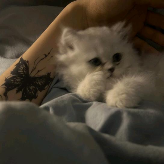 不同·