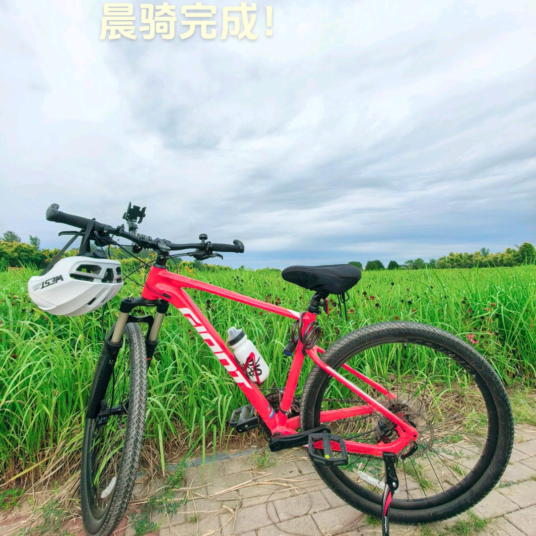 利姐爱骑行🚲