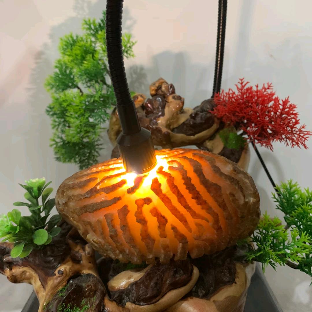 仰望珠宝