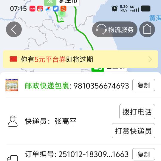 金钱树