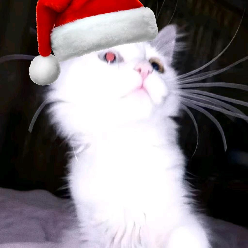 ラッキーカープ ᐝ