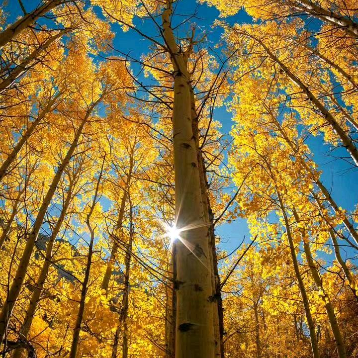 叶县县衙文庙～小张