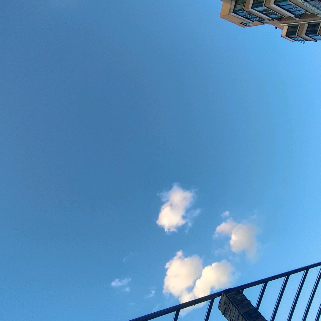 骏骏妈咪