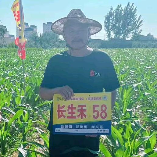宋海玲三农服务站