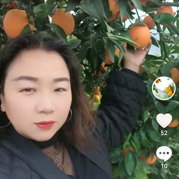 奉节脐橙马幺姐
