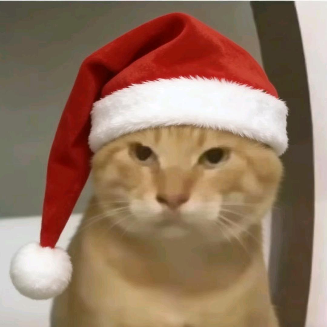 回眸一笑马加七