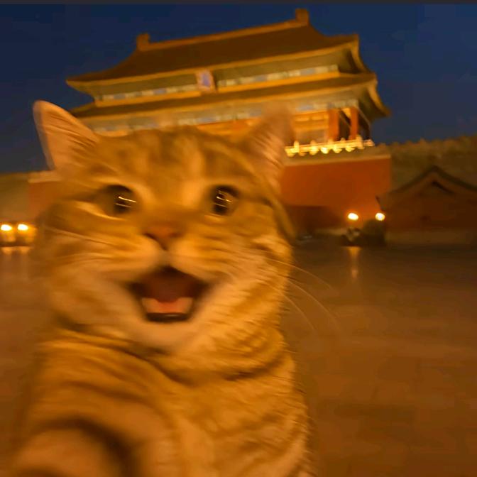 杰大